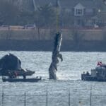 US government admits role in causing helicopter-plane collision that killed 67 in Washington